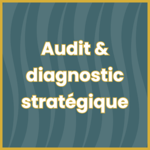 Audit & Diagnostic stratégique