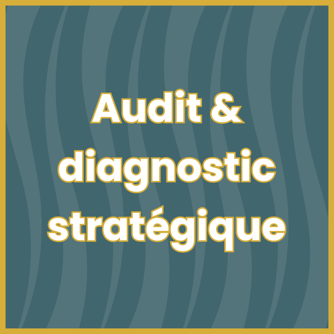 Audit & Diagnostic stratégique